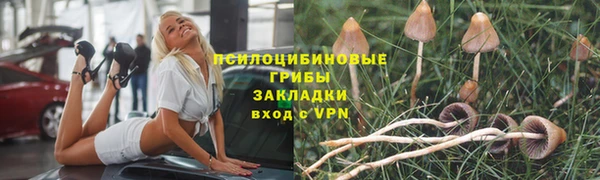 винт Алексин