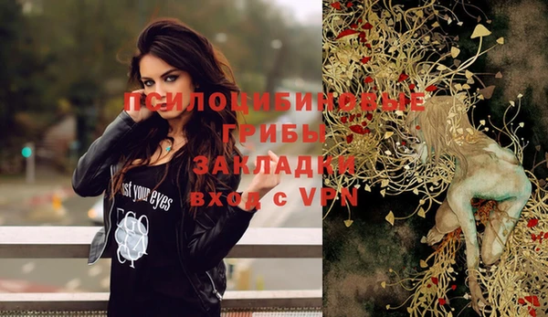 винт Алексин